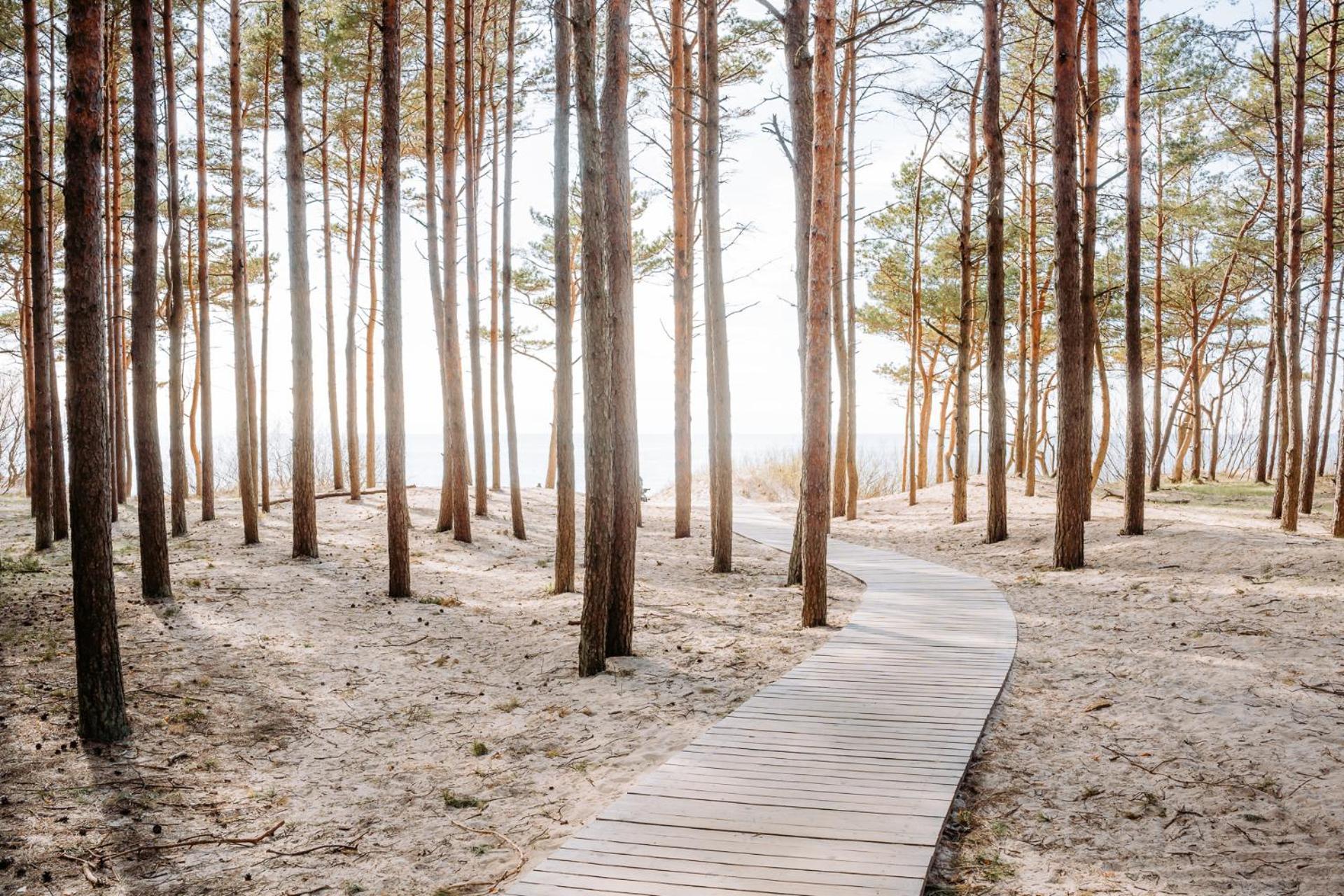 Hill Palanga & Spa Exteriér fotografie